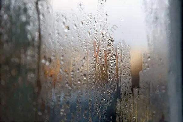 梅雨？霉雨？何不霉？